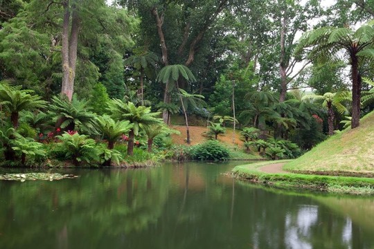 植物園