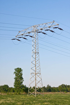 電氣線路
