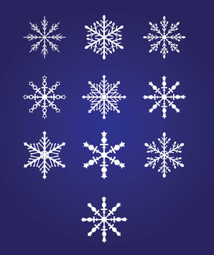 十美麗的雪花