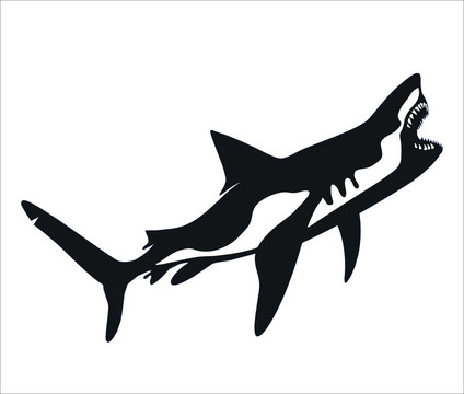 鯊魚(yú)