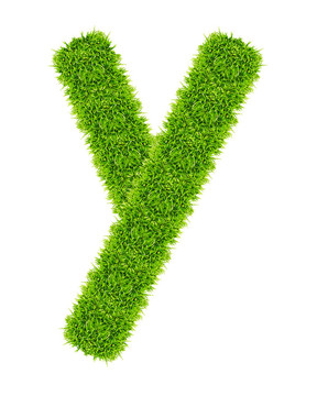 綠草字母Y孤立