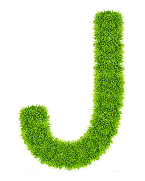 綠草字母J孤立
