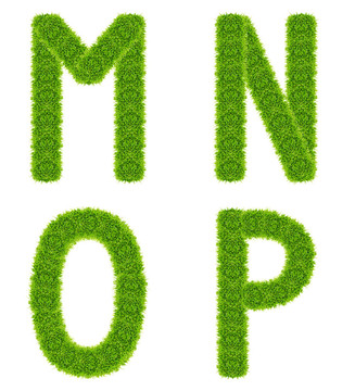 綠色的草的信mnop分離