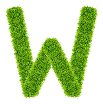 綠色字母W孤立
