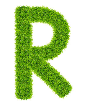 綠草字母R孤立