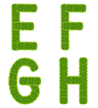 綠色的草信EFGH分離