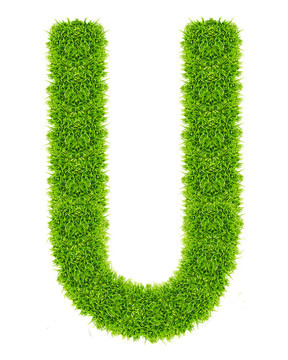 綠色字母U孤立