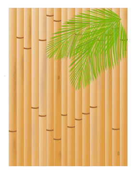 竹子和棕櫚樹(shù)