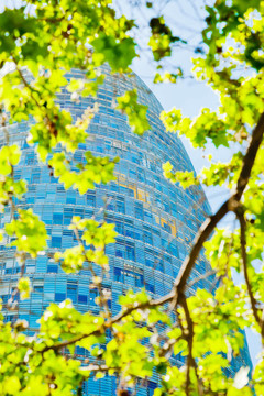 春天是綠色的葉子和Torre Agbar的摩天大樓在巴塞羅那