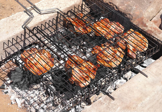 肉類燒烤燒烤木炭的夏天