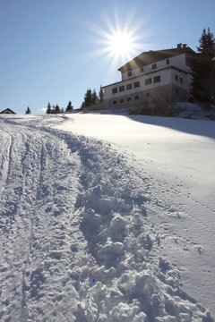 雪地里的腳印