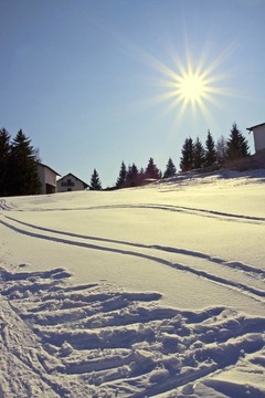 雪地里的腳印