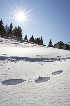 雪地里的腳印