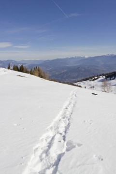 雪地里的腳印