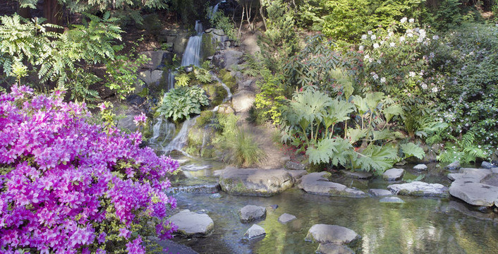 瀑布在水晶溫泉杜鵑花園