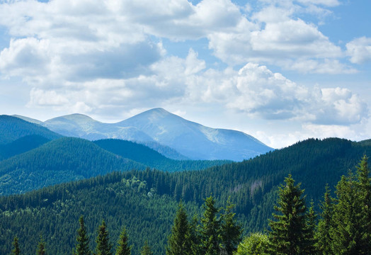 夏山景觀