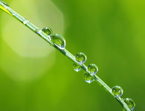 水滴