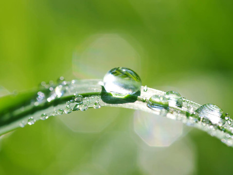 水滴