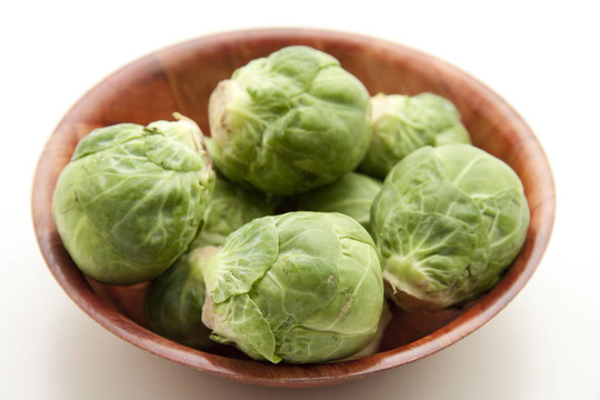 布魯塞爾芽綠片