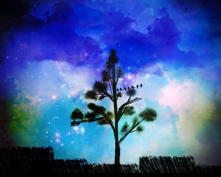 星空