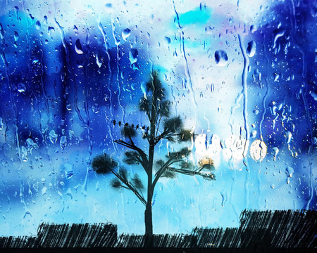 雨天的景觀