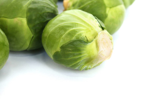 布魯塞爾豆芽