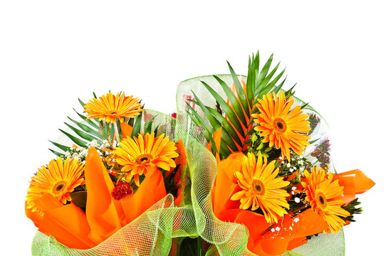 花束非洲菊