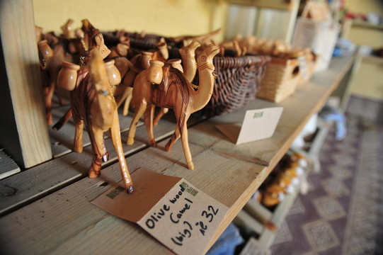 沙漠旅游- Camel