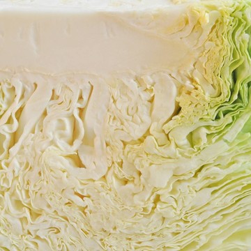 白菜