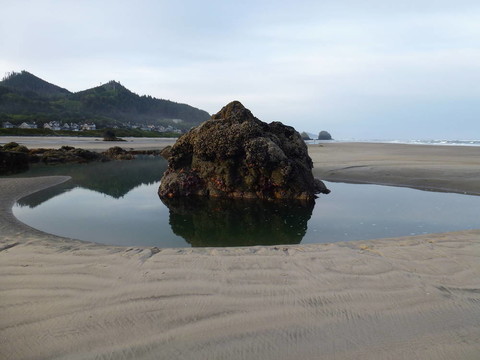 潮池
