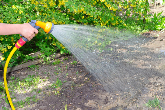 用軟管給花園澆水