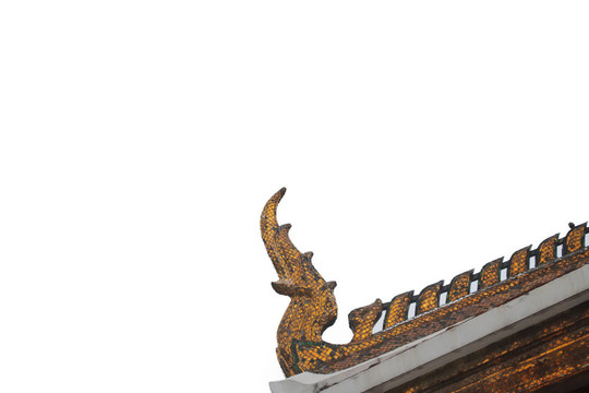 屋頂