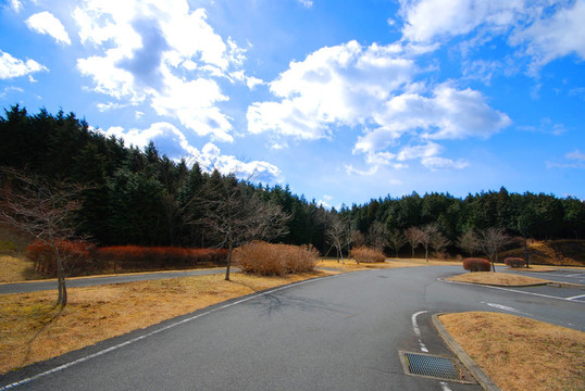 在靜岡縣富士山的道路上