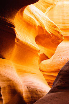 Canyon X