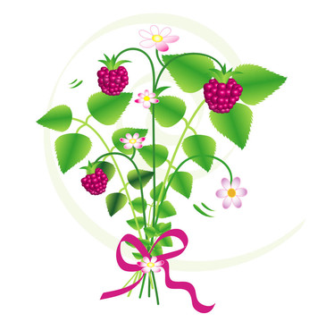 野草莓花束