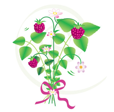 花草莓