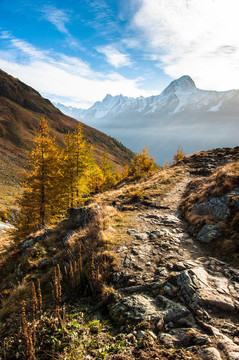 隨著登山步道bietschorn