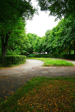 公園里的小路