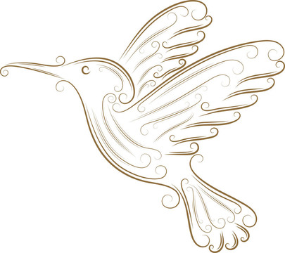 素描的蜂鳥(niǎo)