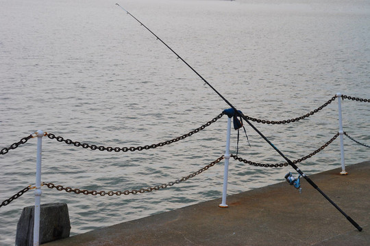 碼頭出海捕魚