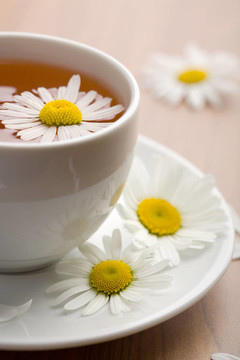 草藥茶和菊花杯