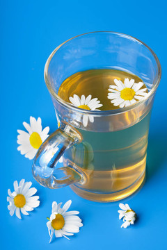 在藍(lán)甘菊茶