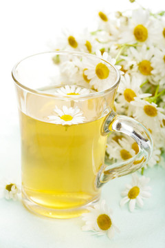 一杯甘菊花花草茶