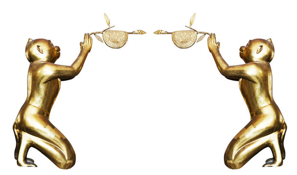 金絲猴