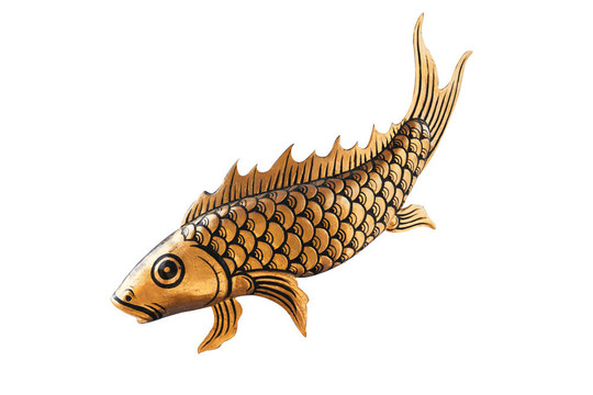 魚的幸運(yùn)