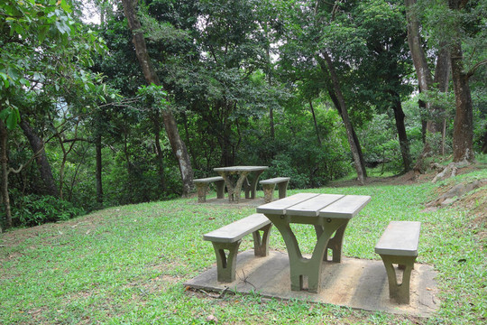 森林野餐地