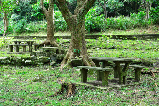 森林野餐地