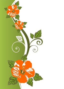 花卉圖案
