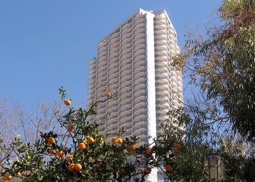 特拉維夫不tsedek桔子2008