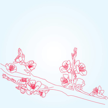 背景與櫻花花